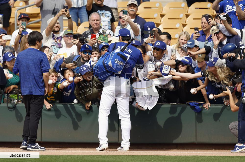 Baseball: MLB spring training