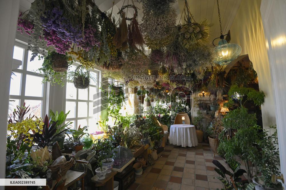 Ghibli Park's Valley of Witches area opens to media