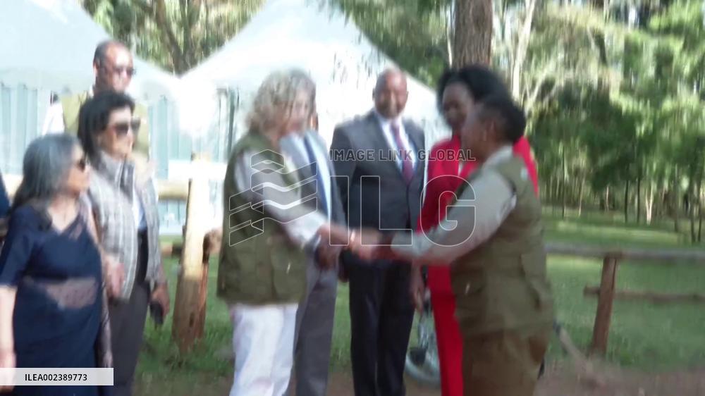 Kenya launches ecosystem restoration strategy via tree planting