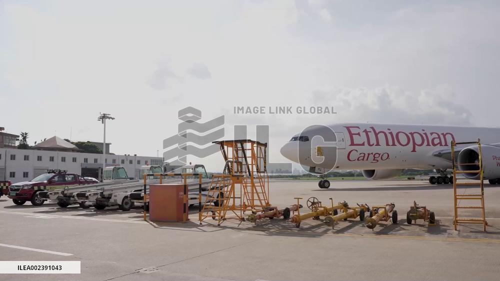 Over 17,000 tons of goods shipped through Xiamen-Sao Paulo air cargo route