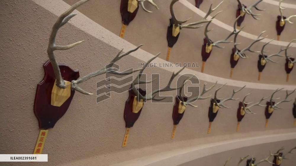 Museums spring up in rural China as nation rapidly modernizes