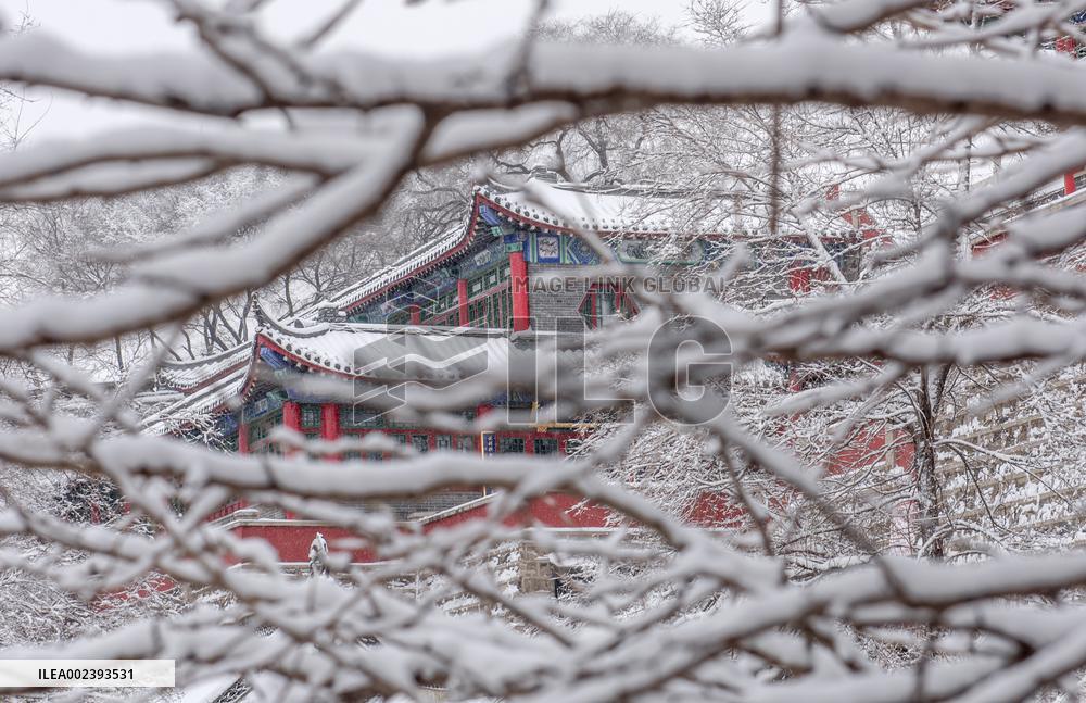 Taoist Longevity Palace Snow Scenery in Liaoyuan