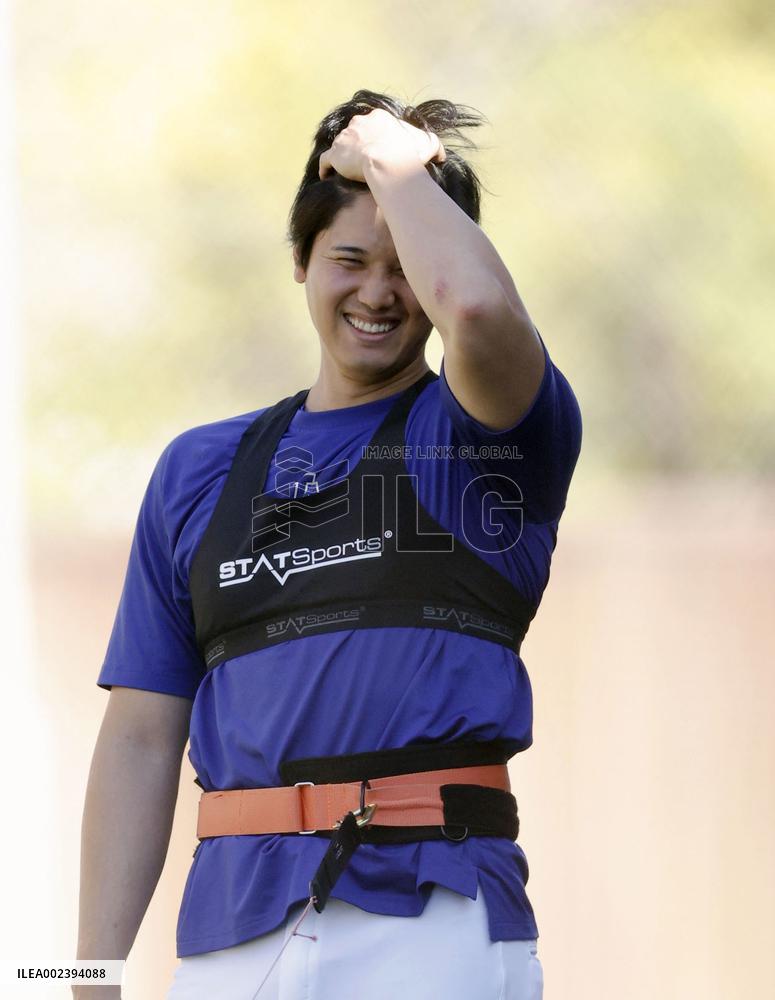 Baseball: MLB spring training