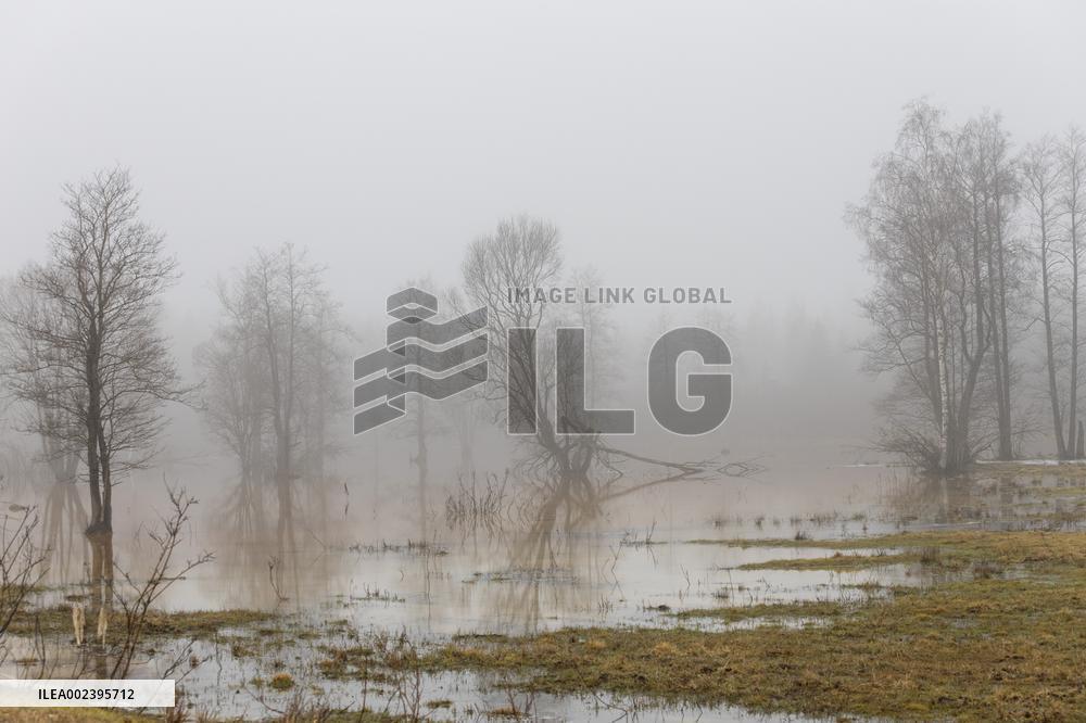 Soomaa national park