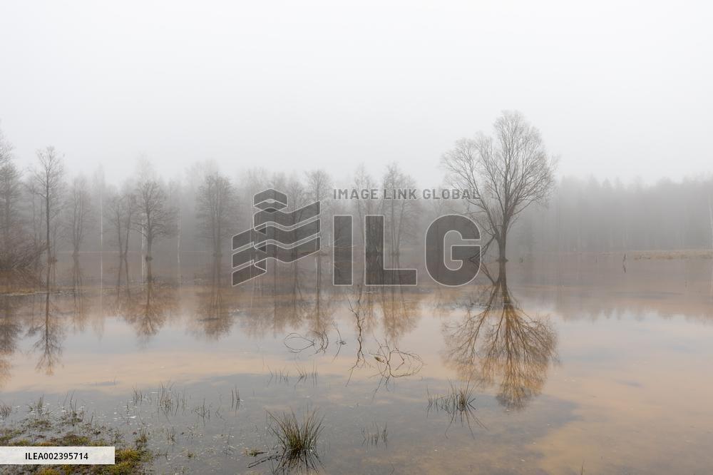 Soomaa national park