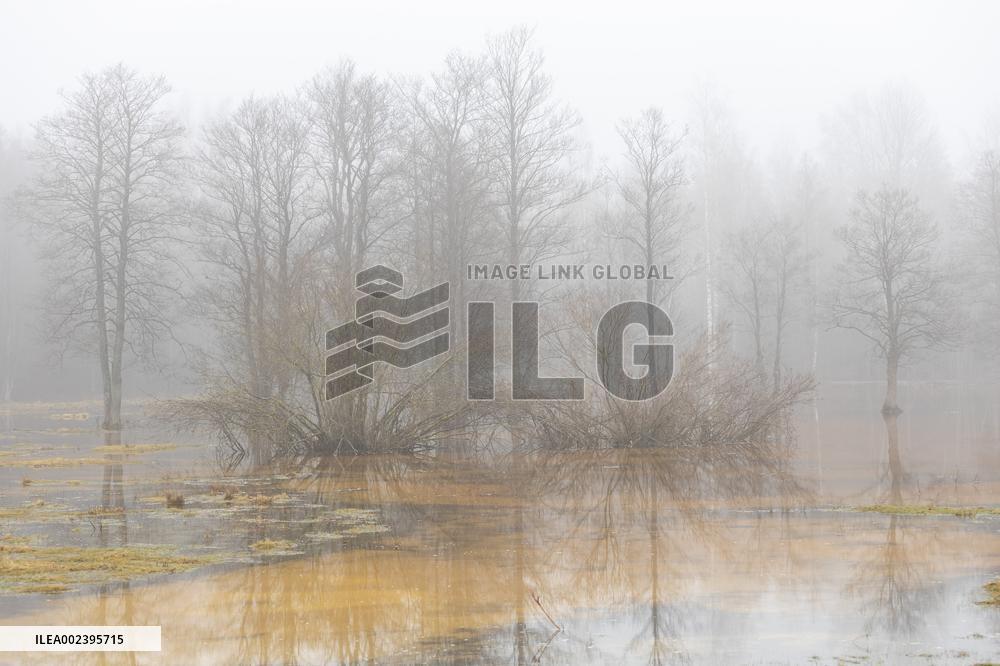 Soomaa national park