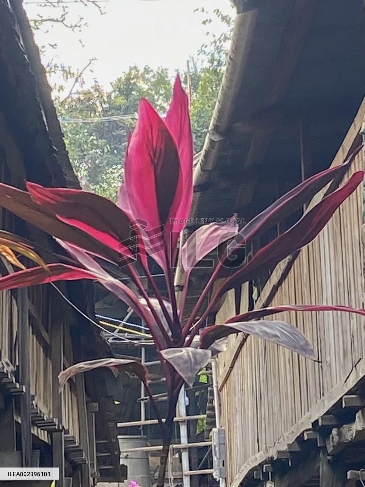 Manhena Ancient Village in Xishuangbannan