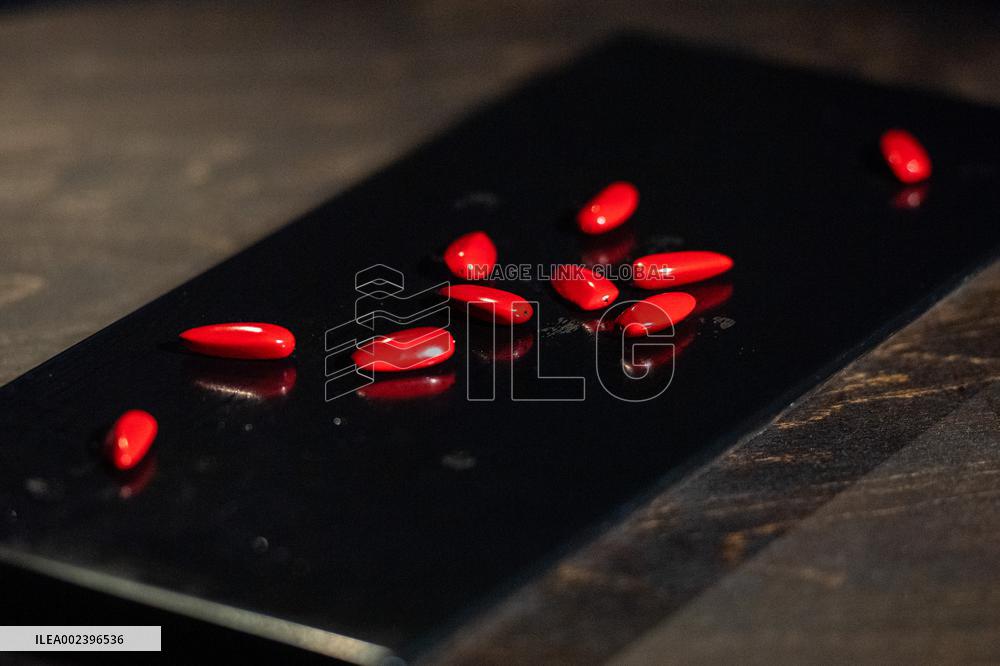 (MASTER OF CRAFTS) CHINA-HUNAN-CHU-STYLE LACQUER COATING ART (CN)