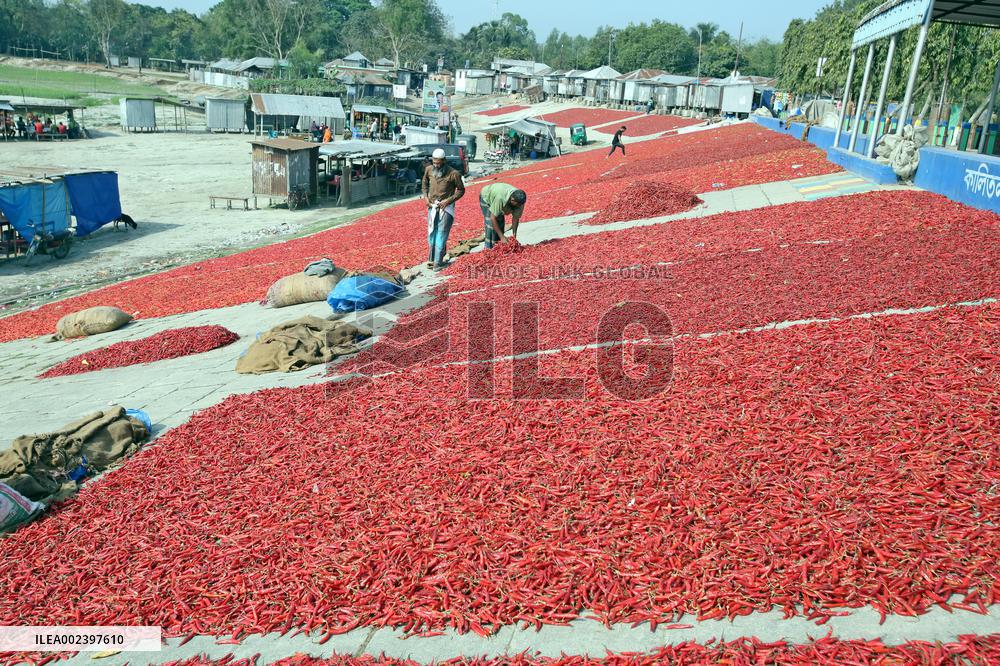 Red Chilli Pepper Processing - Bangladesh