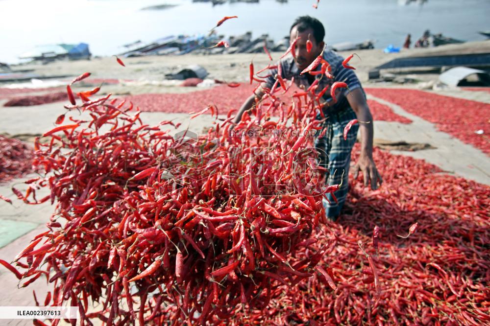Red Chilli Pepper Processing - Bangladesh
