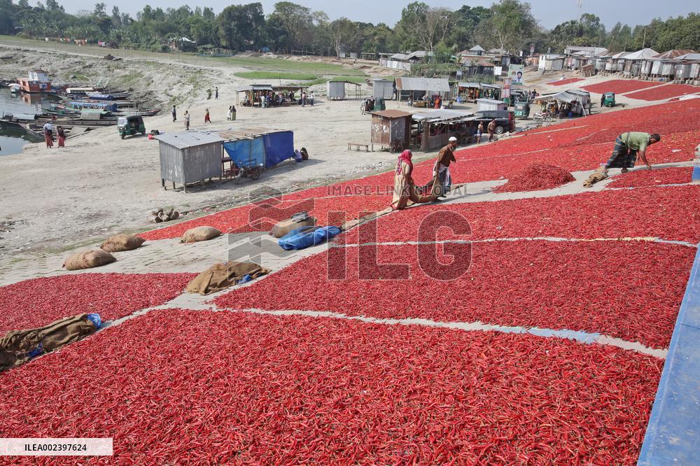 Red Chilli Pepper Processing - Bangladesh