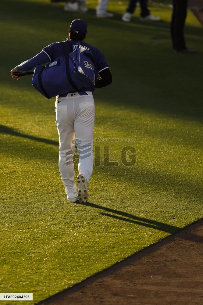 Baseball: MLB spring training