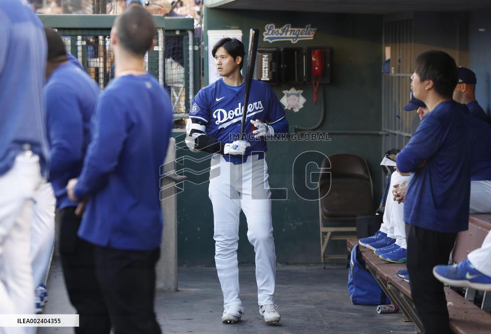 Baseball: MLB spring training