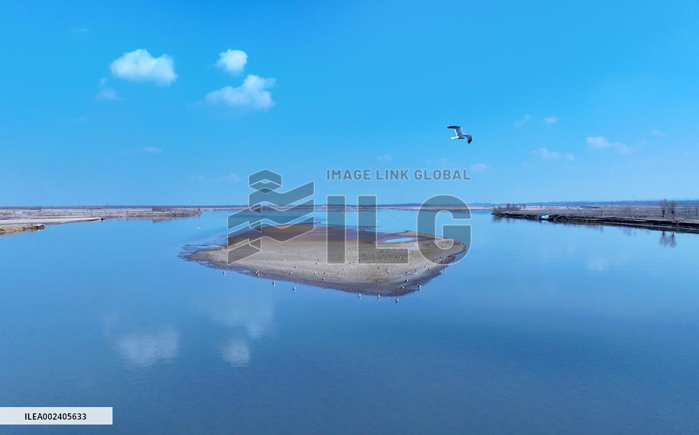(VistaNingxia)CHINA-NINGXIA-YELLOW RIVER-SCENERY (CN)