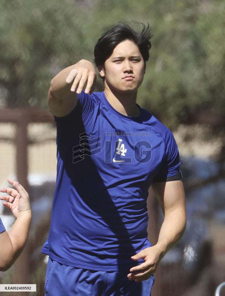 Baseball: MLB spring training