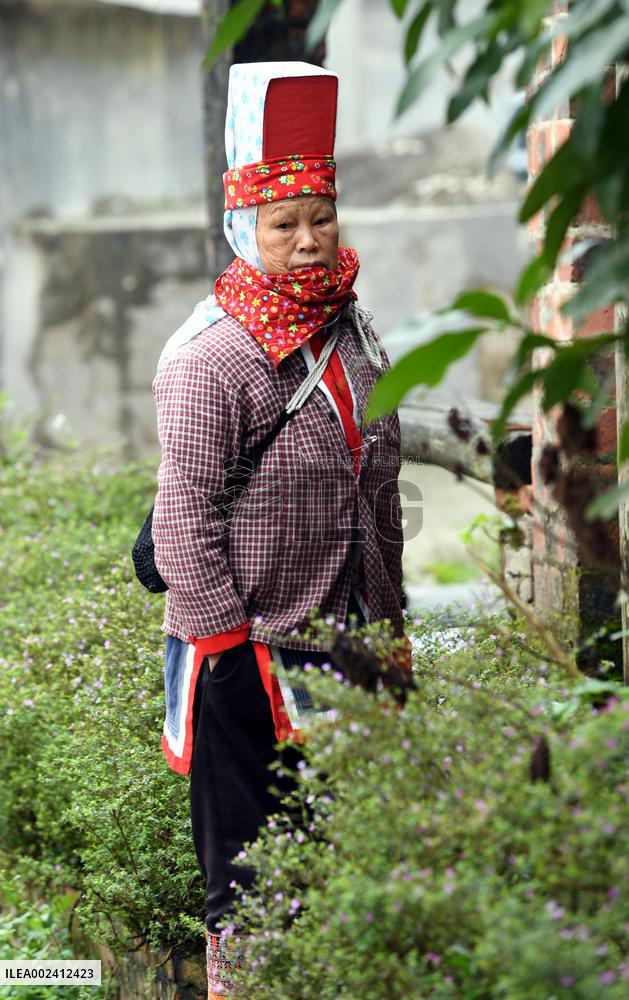 Yao Nationality Branch Dapanyao