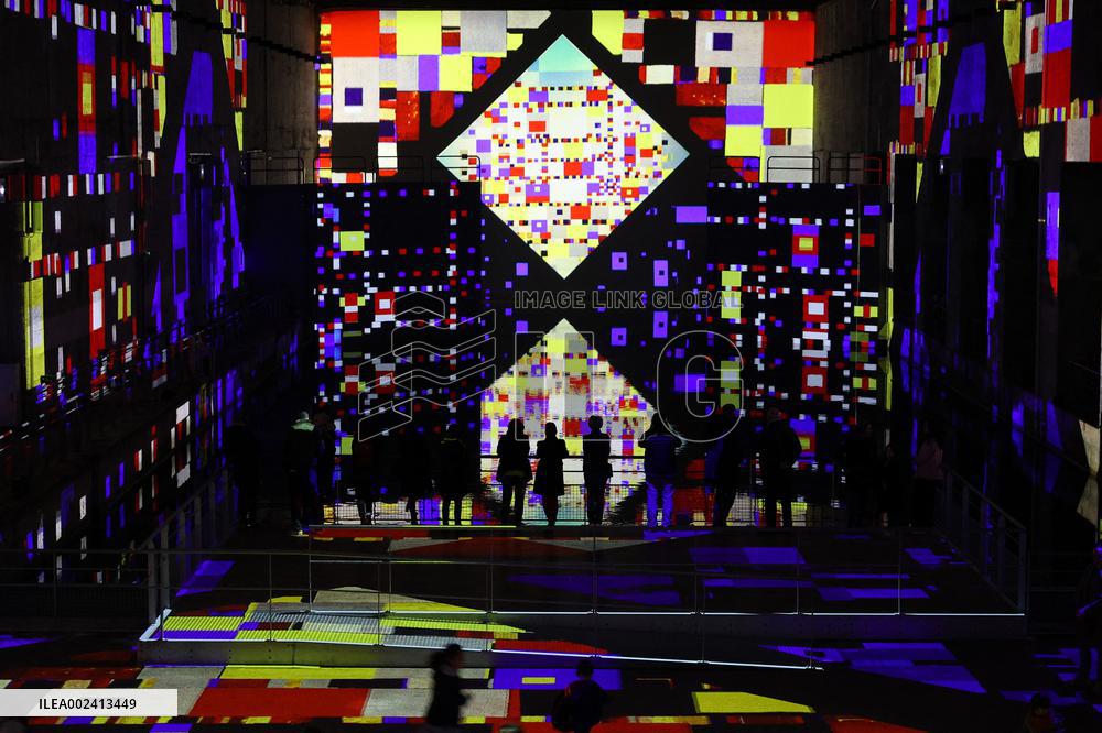 Immersive Exhibitions - Bordeaux