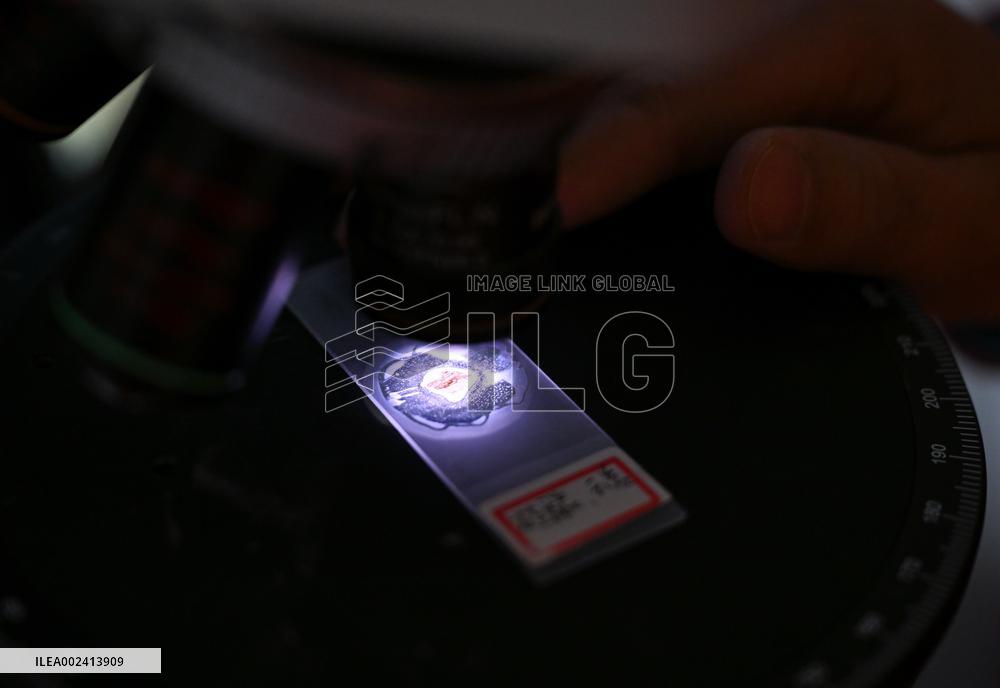 CHINA-XINJIANG-TAKLIMAKAN DESERT-DEEP-EARTH BOREHOLE DRILLING-10,000M (CN)