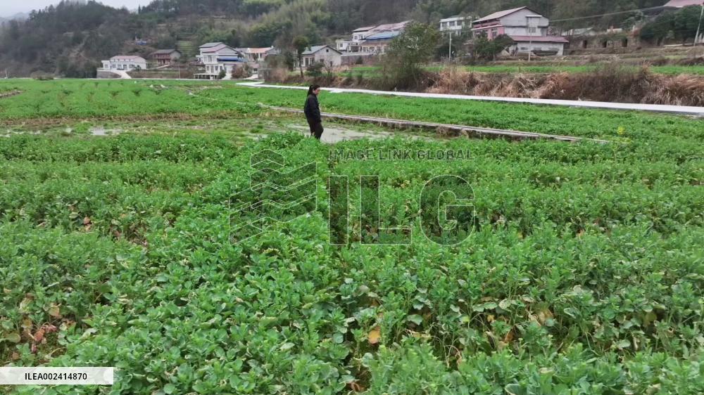 Farmer lawmaker committed to solving problems facing local people