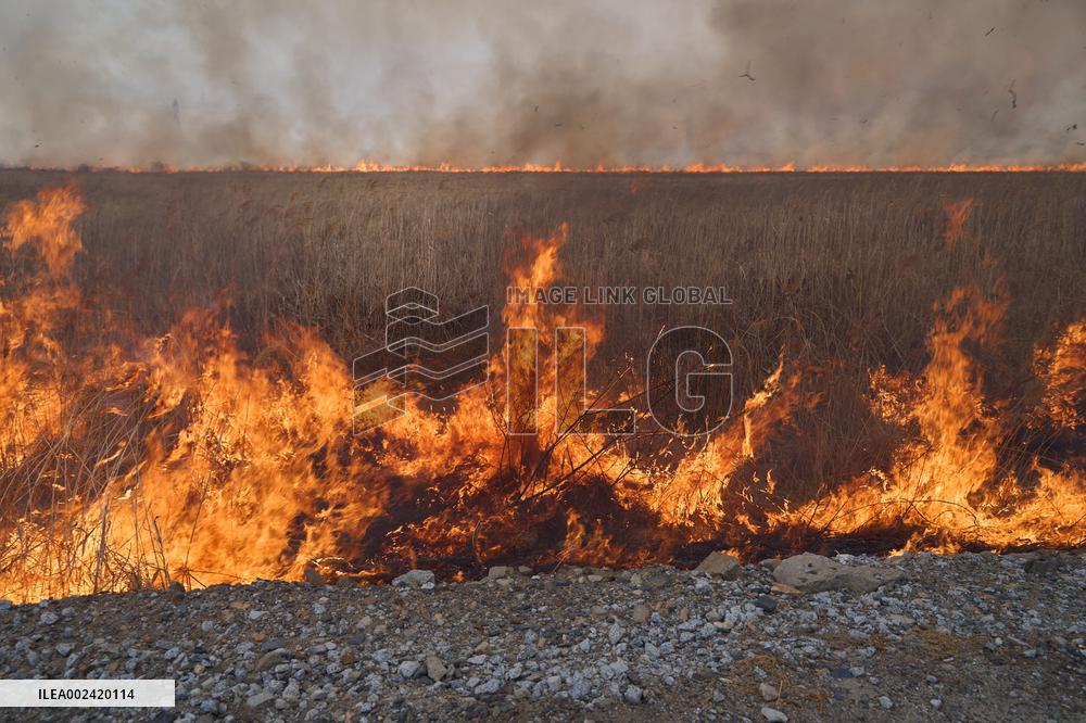 RUSSIA-PRIMORYE TERRITORY-WILDFIRES