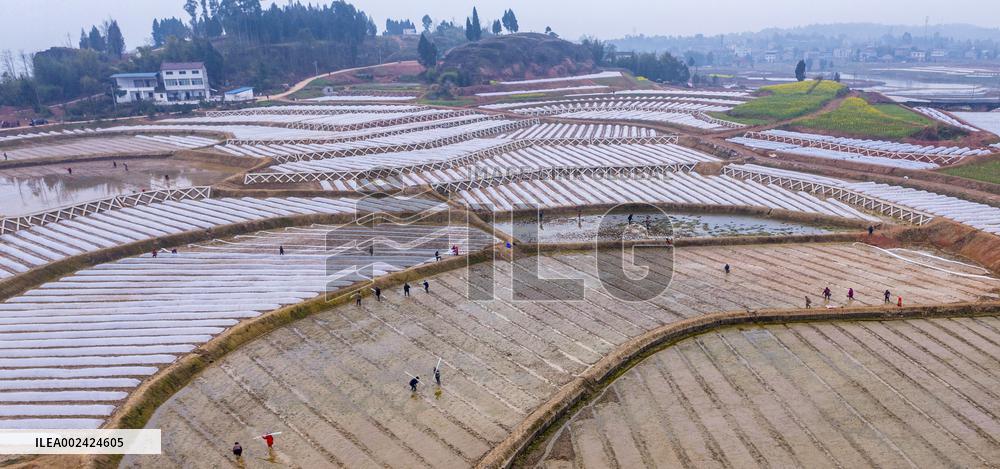 #CHINA-AGRICULTURE-SPRING-FARMING (CN)