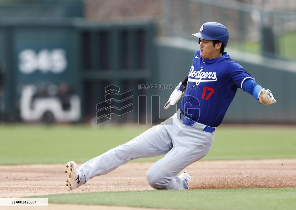 Baseball: MLB spring training