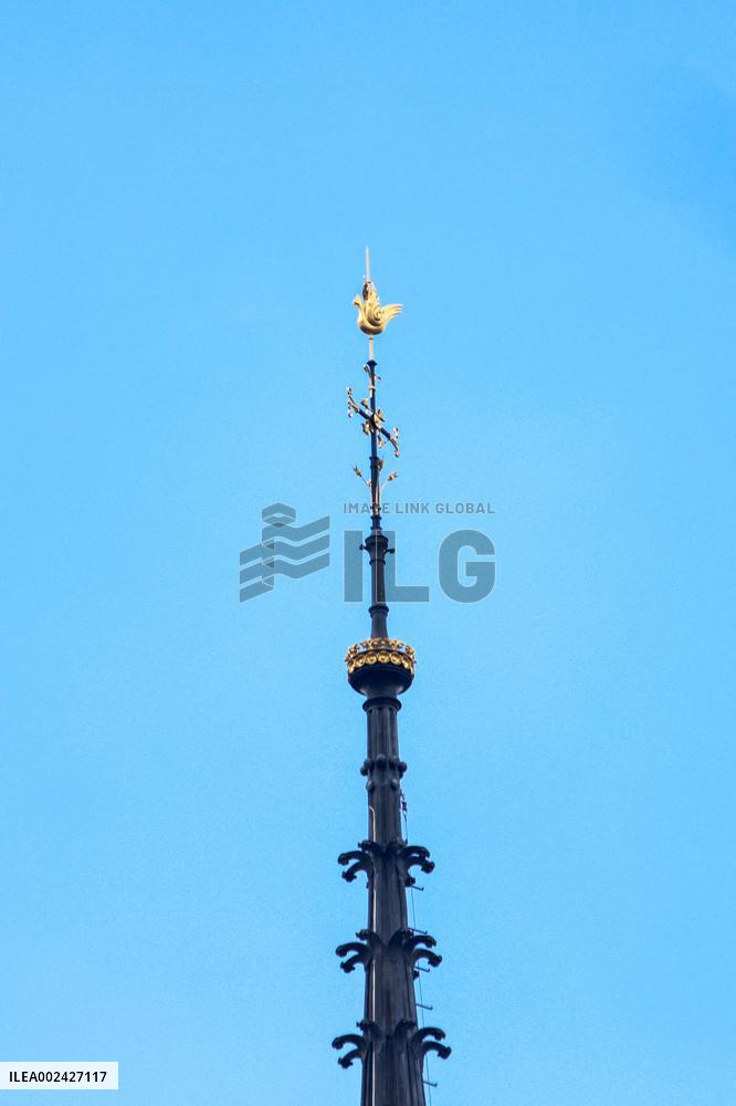 Notre-Dame de Paris Cathedral - Paris