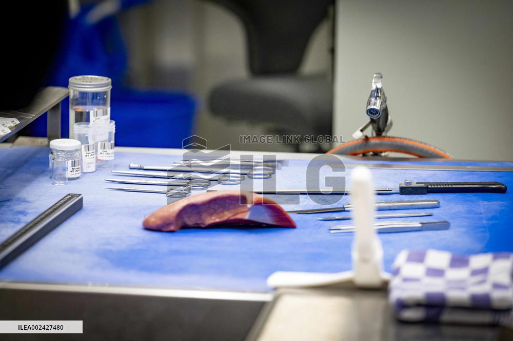 Trace Research At NFI Institute - The Hague