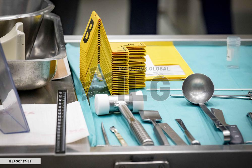 Trace Research At NFI Institute - The Hague