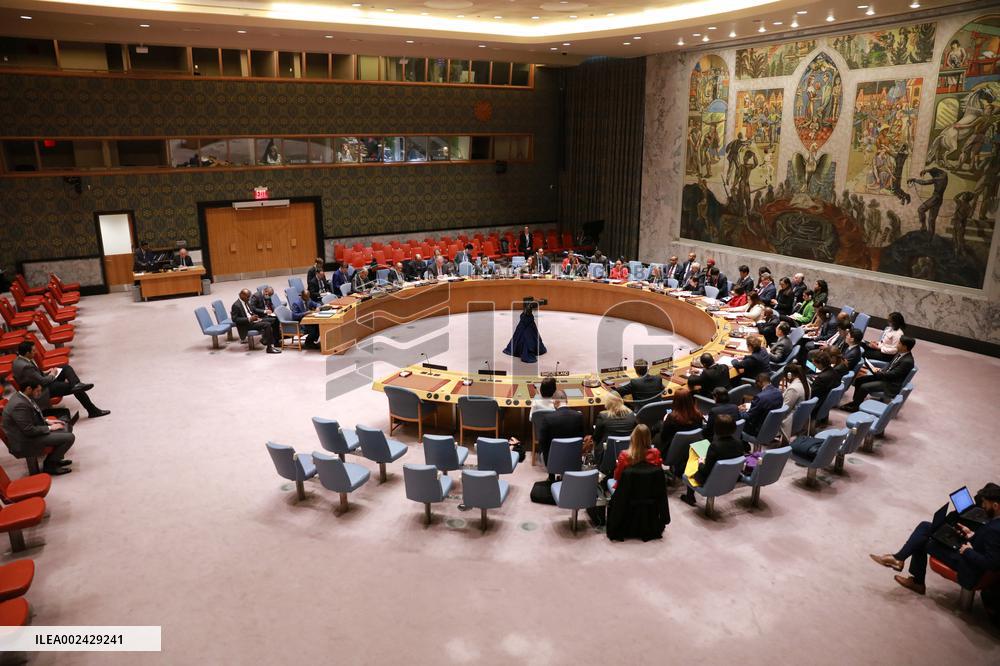 UN-SECURITY COUNCIL-SUDAN-MEETING