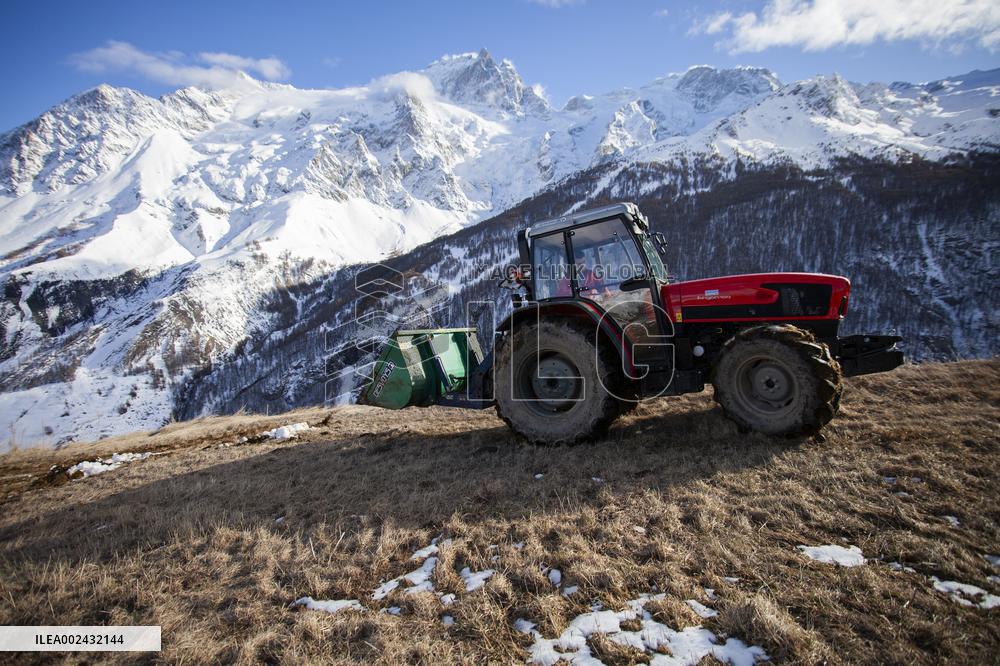 Meije Massif Illustration