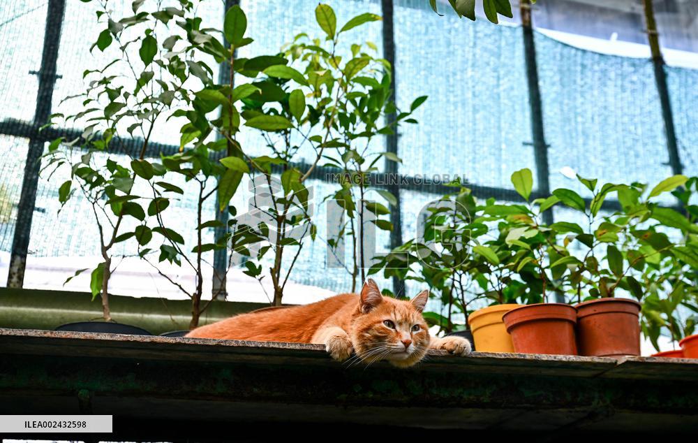 Zaporizhzhia Childrens Botanical Garden