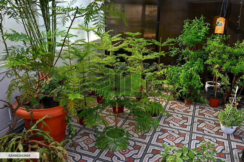 Zaporizhzhia Childrens Botanical Garden