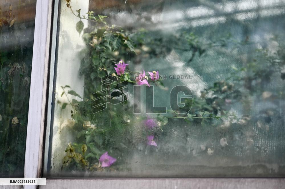 Zaporizhzhia Childrens Botanical Garden