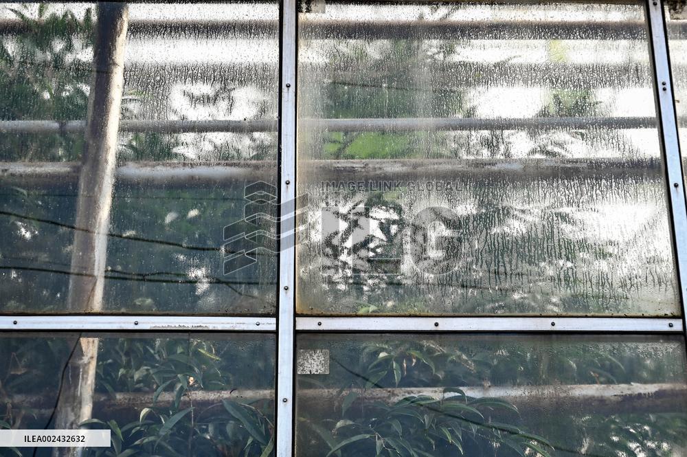 Zaporizhzhia Childrens Botanical Garden