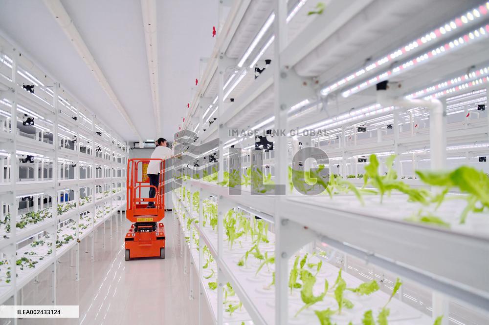 CHINA-HEBEI-GUANTAO-AGRICULTURE-TECHNOLOGY (CN)