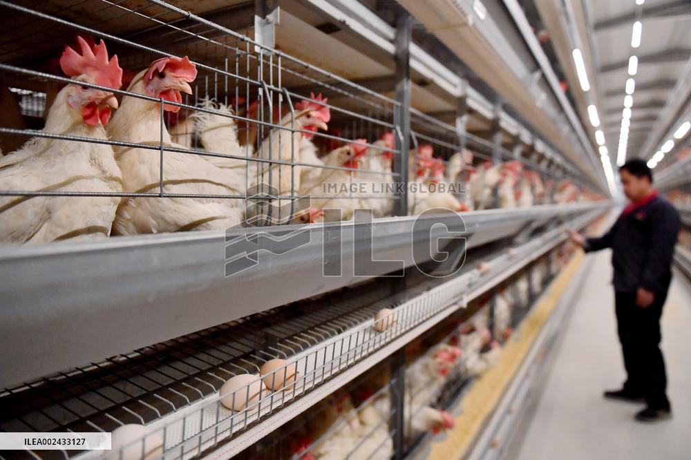 CHINA-HEBEI-GUANTAO-AGRICULTURE-TECHNOLOGY (CN)