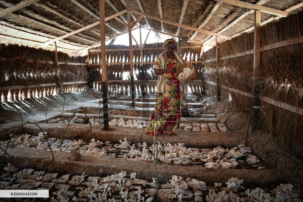 CENTRAL AFRICAN REPUBLIC-JUNCAO TECHNOLOGY-WOMEN LIVELIHOOD