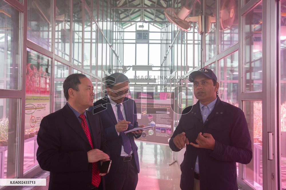 PAKISTAN-ISLAMABAD-CHINA-WHEAT BREEDING COOPERATION