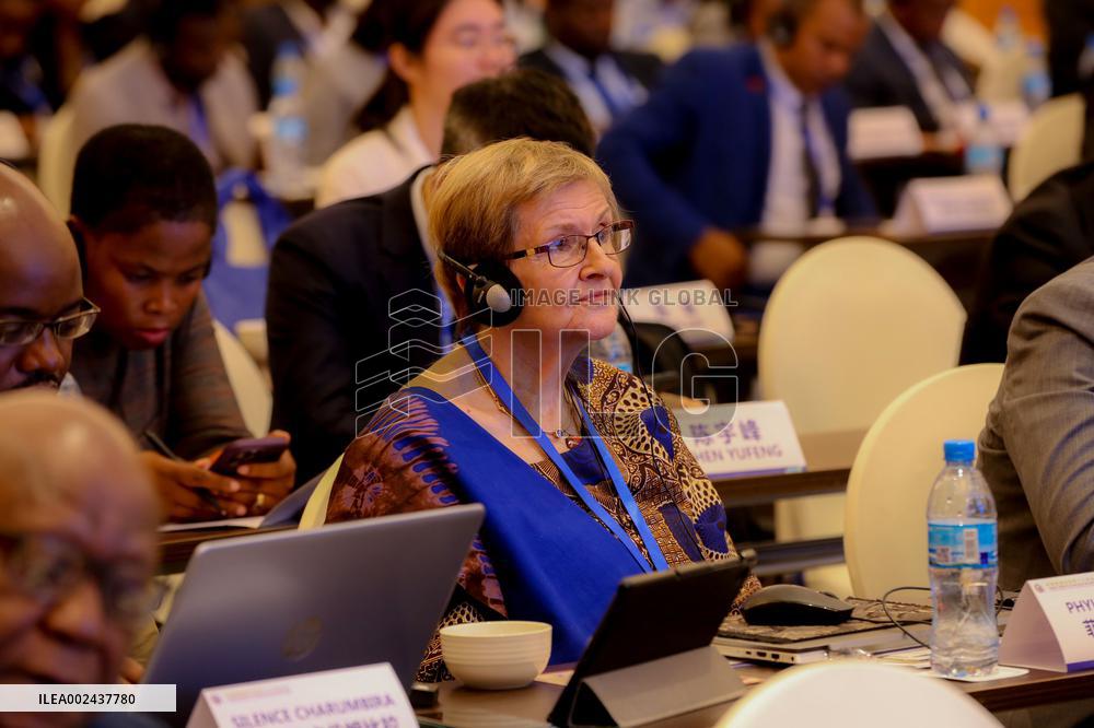 TANZANIA-DAR ES SALAAM-CHINA-THINK TANKS-FORUM