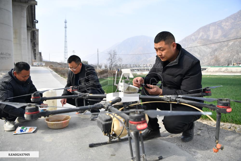CHINA-GANSU-LONGNAN-WHEAT FIELD (CN)