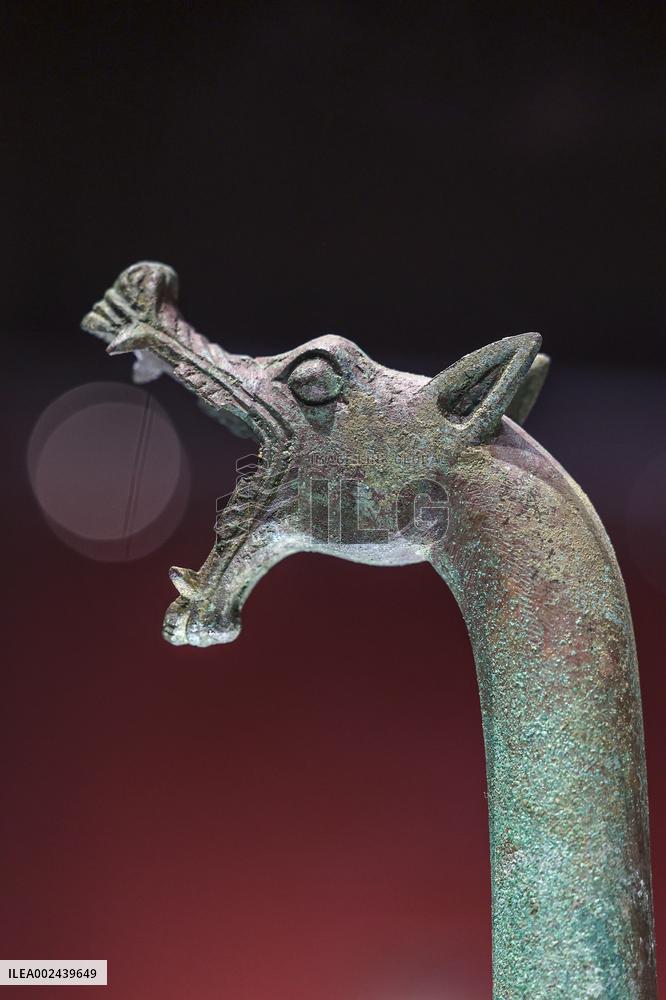 Dragon-shaped Artifacts in Chiense Museum