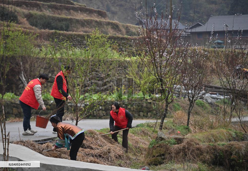 CHINA-GUANGXI-VILLAGE-TREE-PLANTING (CN)