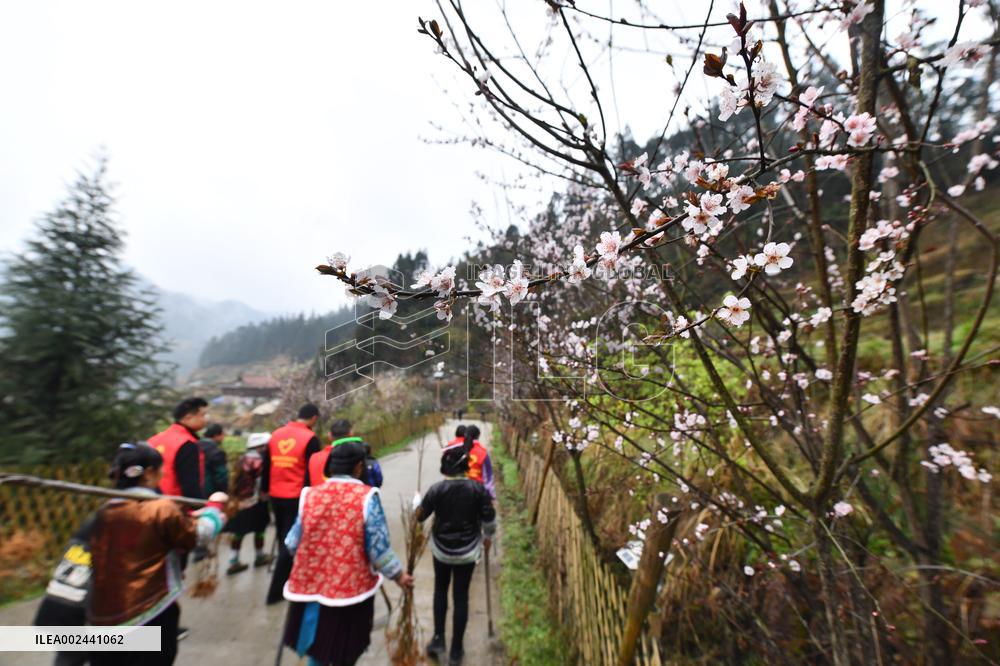 CHINA-GUANGXI-VILLAGE-TREE-PLANTING (CN)