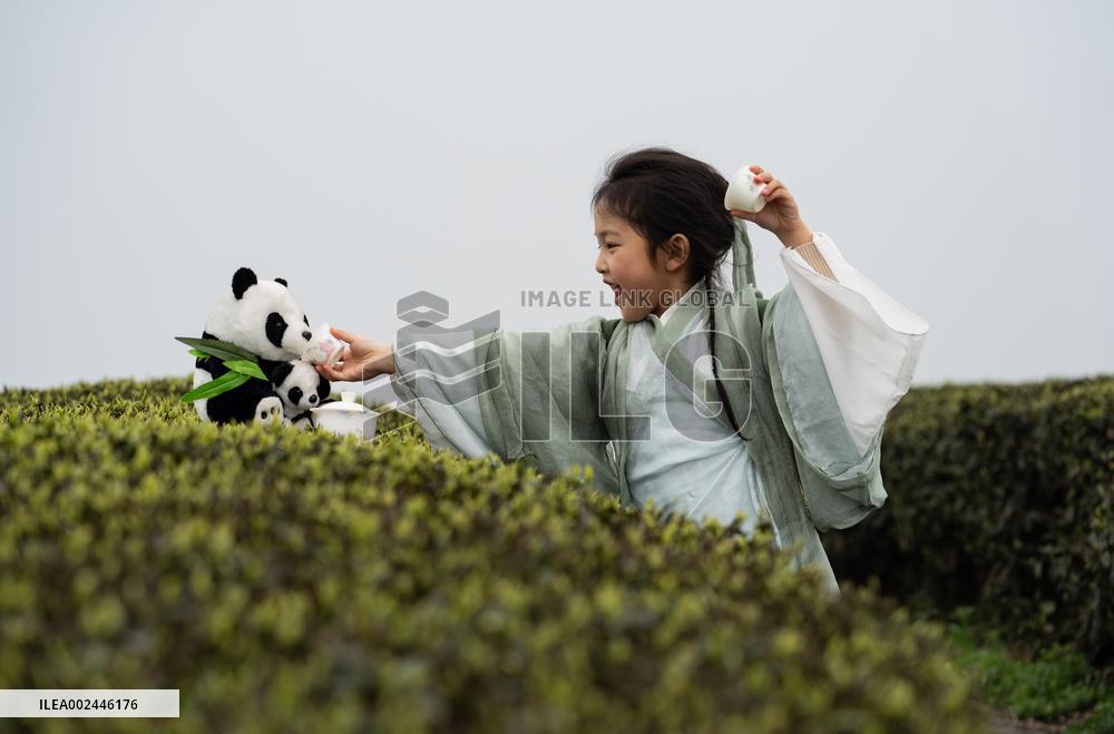 (SichuanMosaics)CHINA-SICHUAN-LUZHOU-EARLY SPRING TEA (CN)