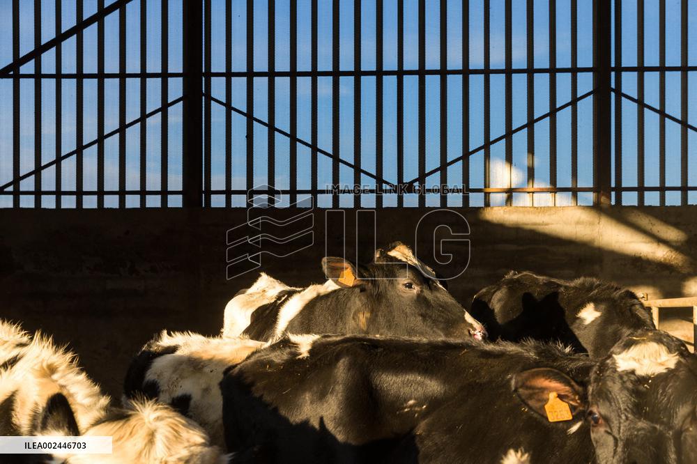 Illustration Agriculture - France