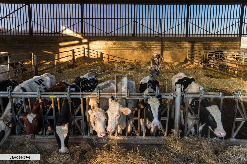 Illustration Agriculture - France