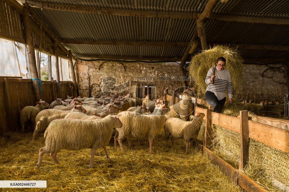 Illustration Agriculture - France