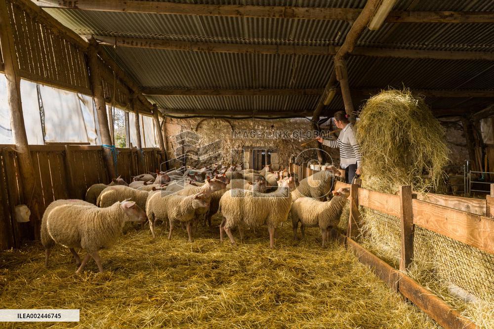 Illustration Agriculture - France