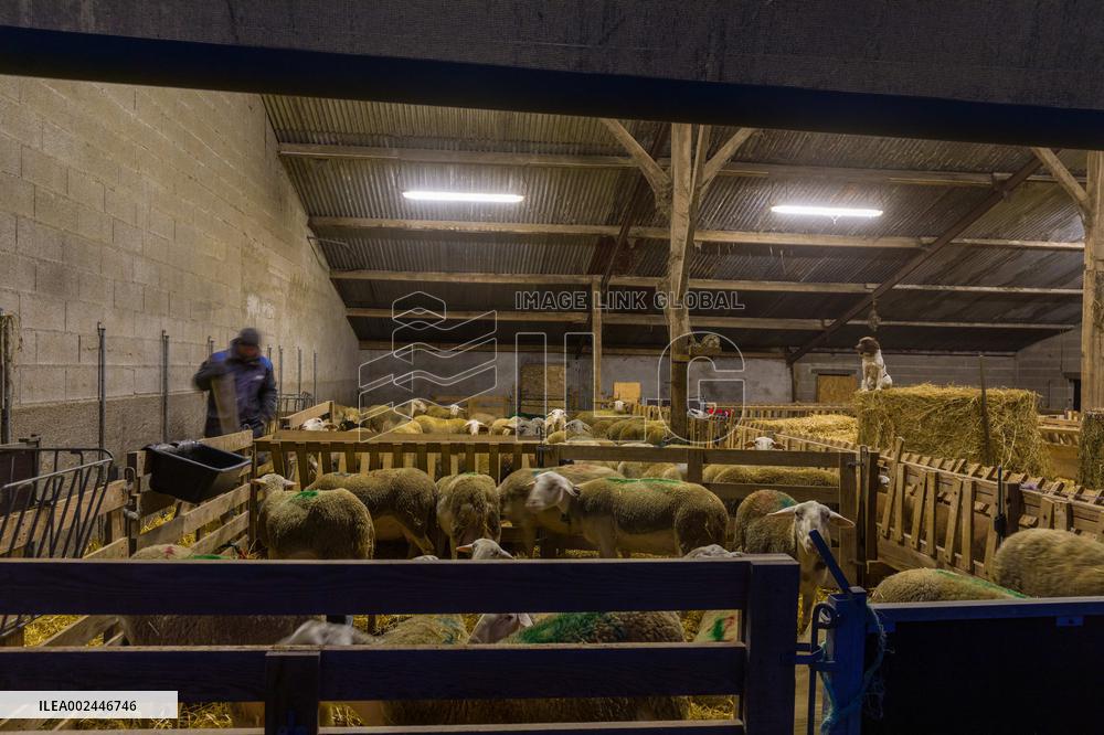 Illustration Agriculture - France